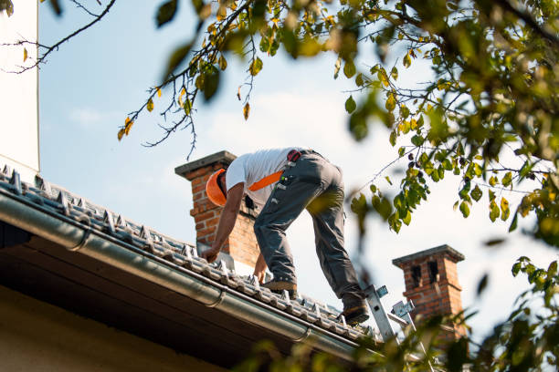 Quick and Trustworthy Emergency Roof Repair Services in Sparta, WI
