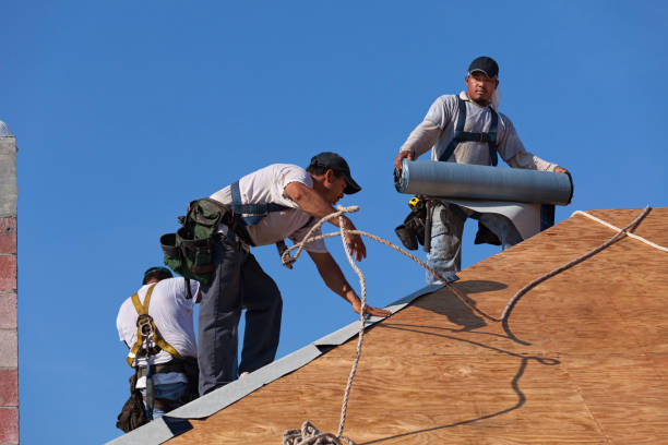 Best Metal Roofing Contractor  in Sparta, WI
